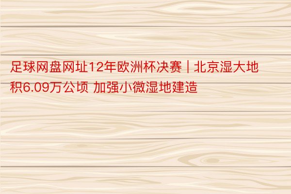 足球网盘网址12年欧洲杯决赛 | 北京湿大地积6.09万公顷 加强小微湿地建造