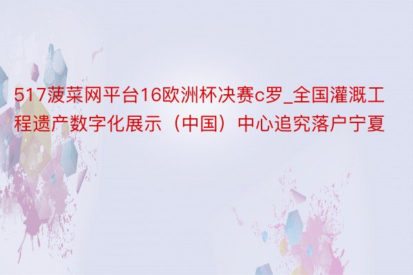 517菠菜网平台16欧洲杯决赛c罗_全国灌溉工程遗产数字化展示（中国）中心追究落户宁夏